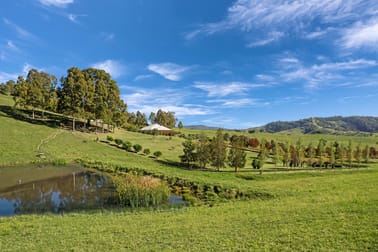 1295 Bingleburra Road Gresford NSW 2311 - Image 2