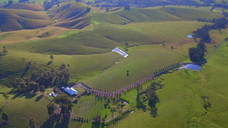 1295 Bingleburra Road Gresford NSW 2311 - Image 3