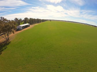 Temora NSW 2666 - Image 1