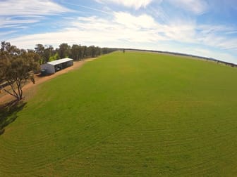 Temora NSW 2666 - Image 1