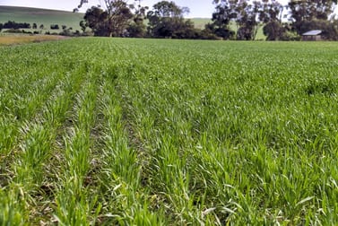 Lot2 Andersons Wilkins Highway Gladstone SA 5473 - Image 3