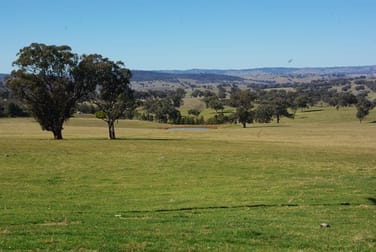 246 Gowan Green Road Bakers Swamp NSW 2820 - Image 1