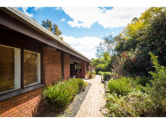 59 Boggy Creek Road Millingandi NSW 2549 - Image 1
