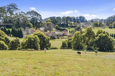 5 Rotherwood Road Wildes Meadow NSW 2577 - Image 1