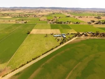 Click to view all images 40 Blairmore Lane Aberdeen NSW 2336 - Image 1