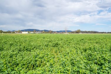 40 Blairmore Lane Aberdeen NSW 2336 - Image 3