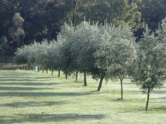 93 Meadows Lane Marraweeney VIC 3669 - Image 2