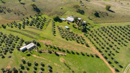 118 Sneesbys Lane Manilla NSW 2346 - Image 1