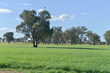 1009 Wallamore Road Tamworth NSW 2340 - Image 1