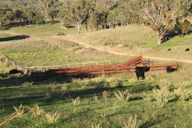 97 Woolomin Gap Road Woolomin NSW 2340 - Image 3