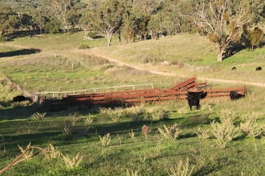 Click to view all images 97 Woolomin Gap Road Woolomin NSW 2340 - Image 3