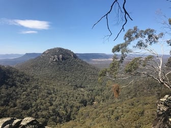 Lot 318 McDonalds Hole Road Running Stream NSW 2850 - Image 1