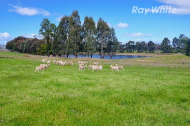 296 Booth Rd Taminick VIC 3675 - Image 2