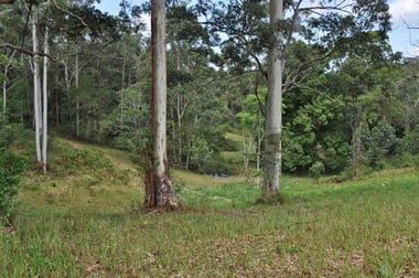 Eungai Creek NSW 2441 - Image 3