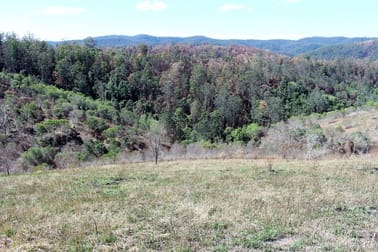 595 Dees Road Belbora NSW 2422 - Image 3