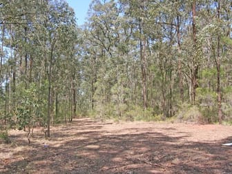 Lot 12 Lodge Road Lovedale NSW 2325 - Image 2