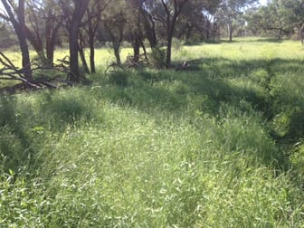 '' PENAROO" Eulo QLD 4491 - Image 2