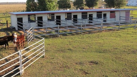 34 ACRES BRICK HOME, STABLES Dalby QLD 4405 - Image 3