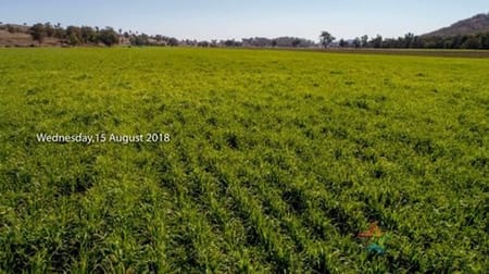 'Elwyn' 2722 Duri-Dungowan Road Tamworth NSW 2340 - Image 1