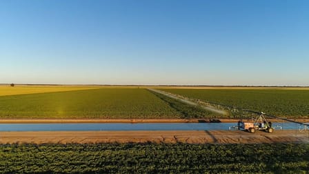 389 Drivers Road Deniliquin NSW 2710 - Image 2
