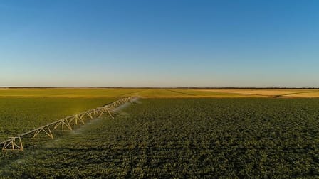 389 Drivers Road Deniliquin NSW 2710 - Image 3
