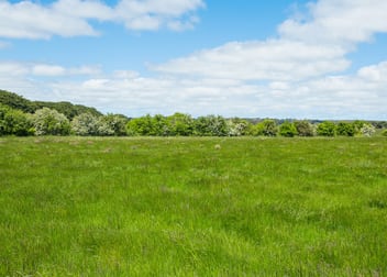 1140 Curdies-Leichfield Road Cobrico VIC 3266 - Image 2