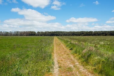 1140 Curdies-Leichfield Road Cobrico VIC 3266 - Image 3