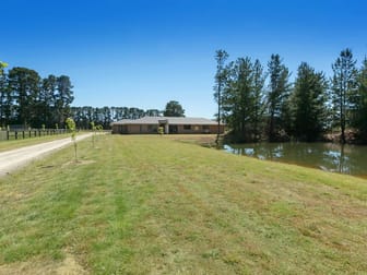 46 Graydens Road Tyabb VIC 3913 - Image 3