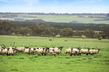 675 Ingleby Road Winchelsea VIC 3241 - Image 3