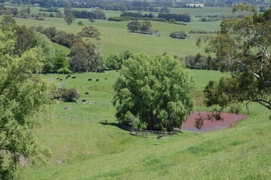 90 BOUNDARY ROAD Loch VIC 3945 - Image 2