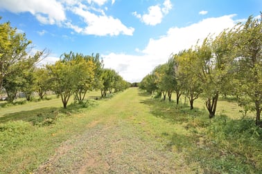 88 BARKO ROAD Iraak VIC 3494 - Image 3