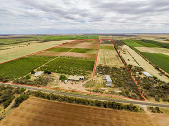 446 & 333 Sculthorpe Road Nangiloc VIC 3494 - Image 1