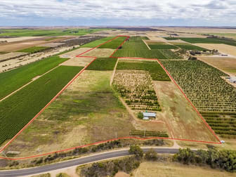446 & 333 Sculthorpe Road Nangiloc VIC 3494 - Image 2