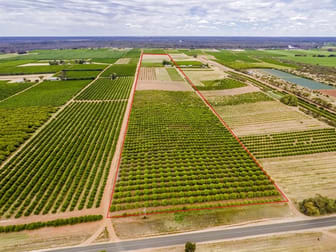 446 & 333 Sculthorpe Road Nangiloc VIC 3494 - Image 3