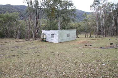 920 Bluff River Road Tenterfield NSW 2372 - Image 3