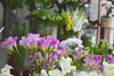 287 Waverley Rd Malvern East VIC 3145 - Image 3