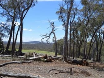 Click to view all images 2033 Mayfield Road Mayfield NSW 2580 - Image 1