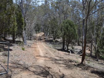 2033 Mayfield Road Mayfield NSW 2580 - Image 3