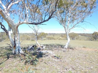 Lot 242 Dry Plains Road Cooma NSW 2630 - Image 1