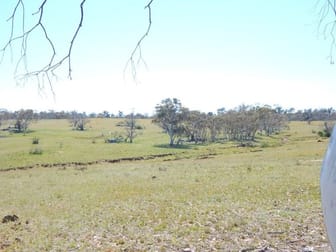 Lot 242 Dry Plains Road Cooma NSW 2630 - Image 3