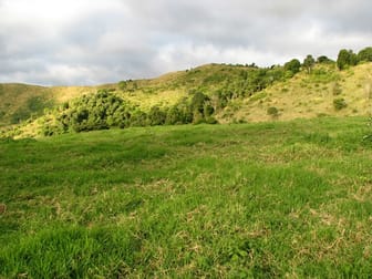 0 Koplick Road Running Creek QLD 4287 - Image 3