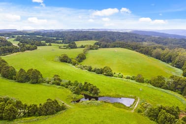 2/4515 Colac Lavers Hill Road Wyelangta VIC 3237 - Image 3
