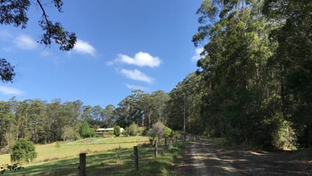 395 Waitui Road Waitui NSW 2443 - Image 1