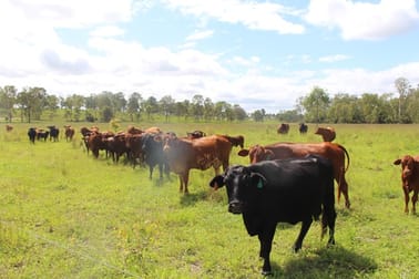 2956 Gympie Woolooga Rd Lower Wonga QLD 4570 - Image 3