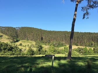 Lot 4 Elmar Road Wootton NSW 2423 - Image 2