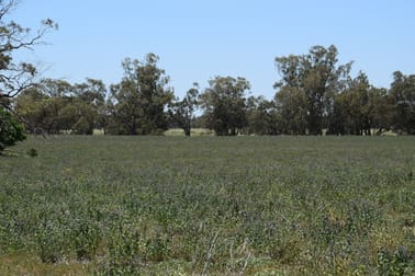 'Nangarah' 1975 Wambianna Road Warren NSW 2824 - Image 2