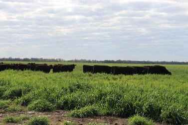 32 Wyaga Rd Goondiwindi QLD 4390 - Image 2