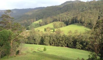 205 Gerringong Creek Road Kangaroo Valley NSW 2577 - Image 1