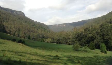 205 Gerringong Creek Road Kangaroo Valley NSW 2577 - Image 3