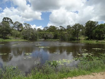 1297 Hills Road Euleilah QLD 4674 - Image 3